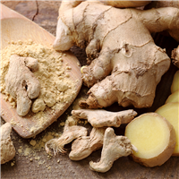 Ginger Spice Fragrance Oil 161